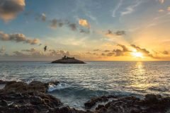 A pelican flies over the ocean towards a small island as the sun sets.