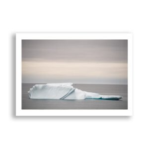 Seabird resting station, Antarctica