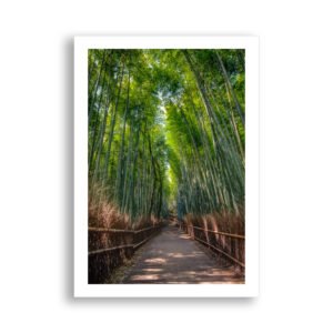 The trail through tall bamboo at Arashiama, Japan